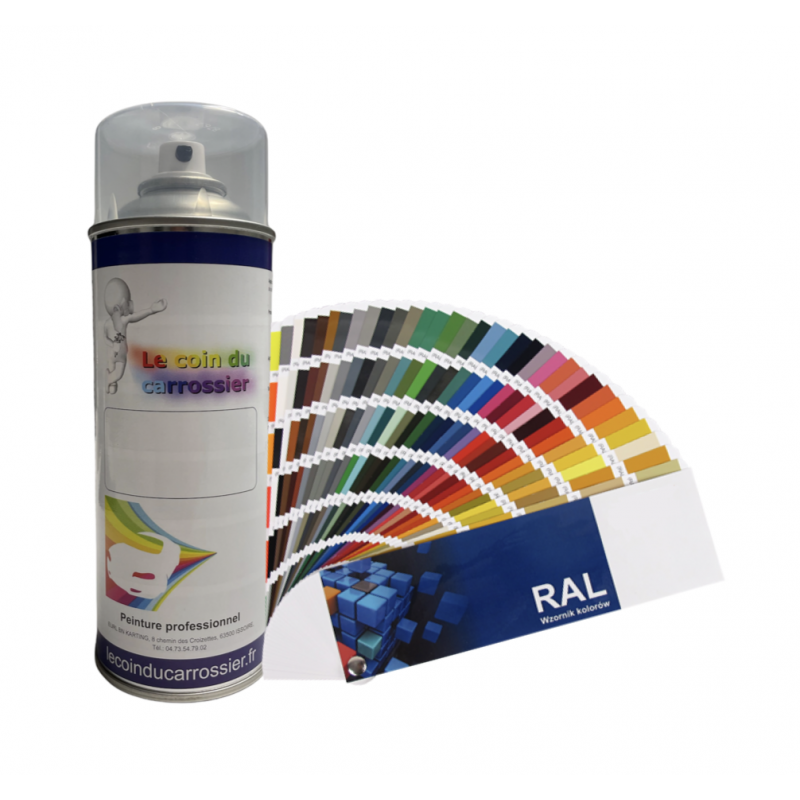 Aérosol Peinture, Bombe en Spray coloris RAL 9005 peinture noir mat
