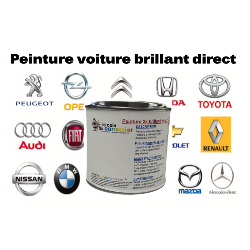 Peinture voiture brillant direct en pot