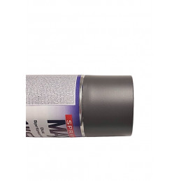 Peinture plastique gris Renault 20550 spray max